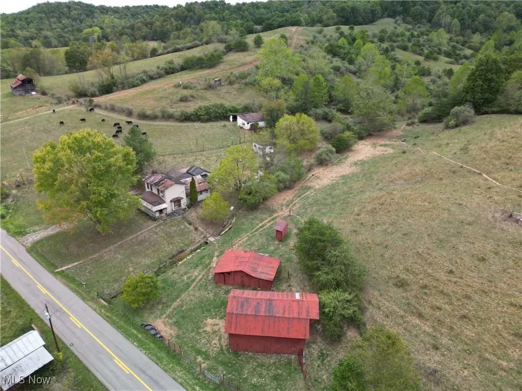 10206 Gillespie Run Road, Petroleum, West Virginia 26161,MLS Now Listing ID