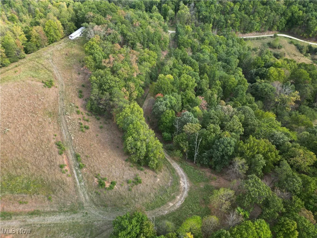 10206 Gillespie Run Road, Petroleum, West Virginia 26161,MLS Now Listing ID