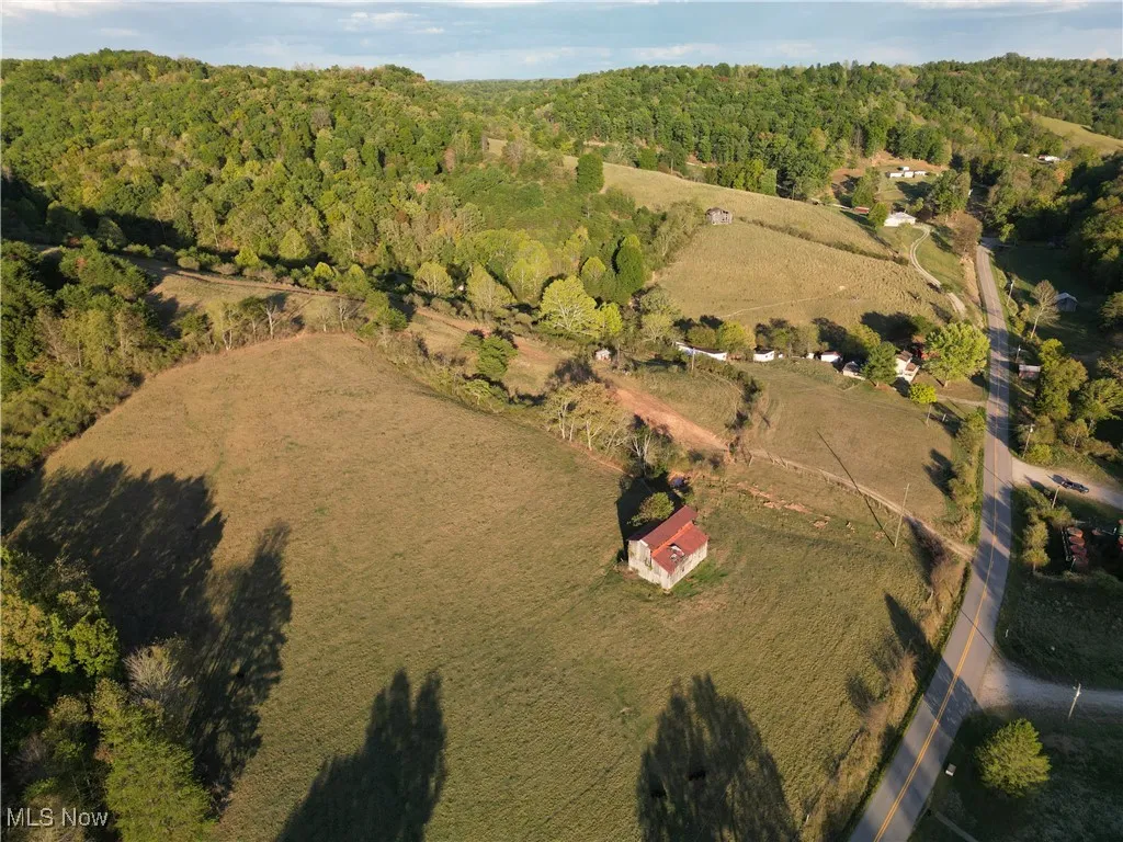 10206 Gillespie Run Road, Petroleum, West Virginia 26161,MLS Now Listing ID
