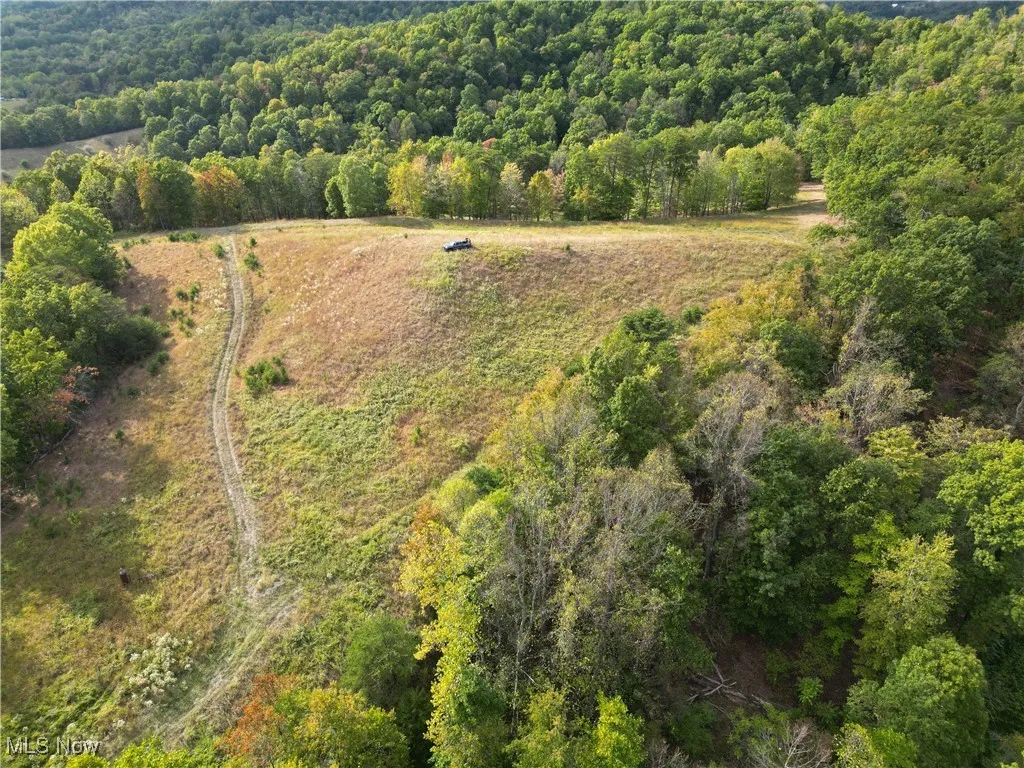 10206 Gillespie Run Road, Petroleum, West Virginia 26161,MLS Now Listing ID