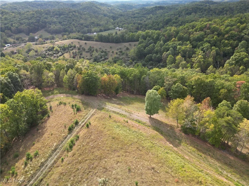 10206 Gillespie Run Road, Petroleum, West Virginia 26161,MLS Now Listing ID