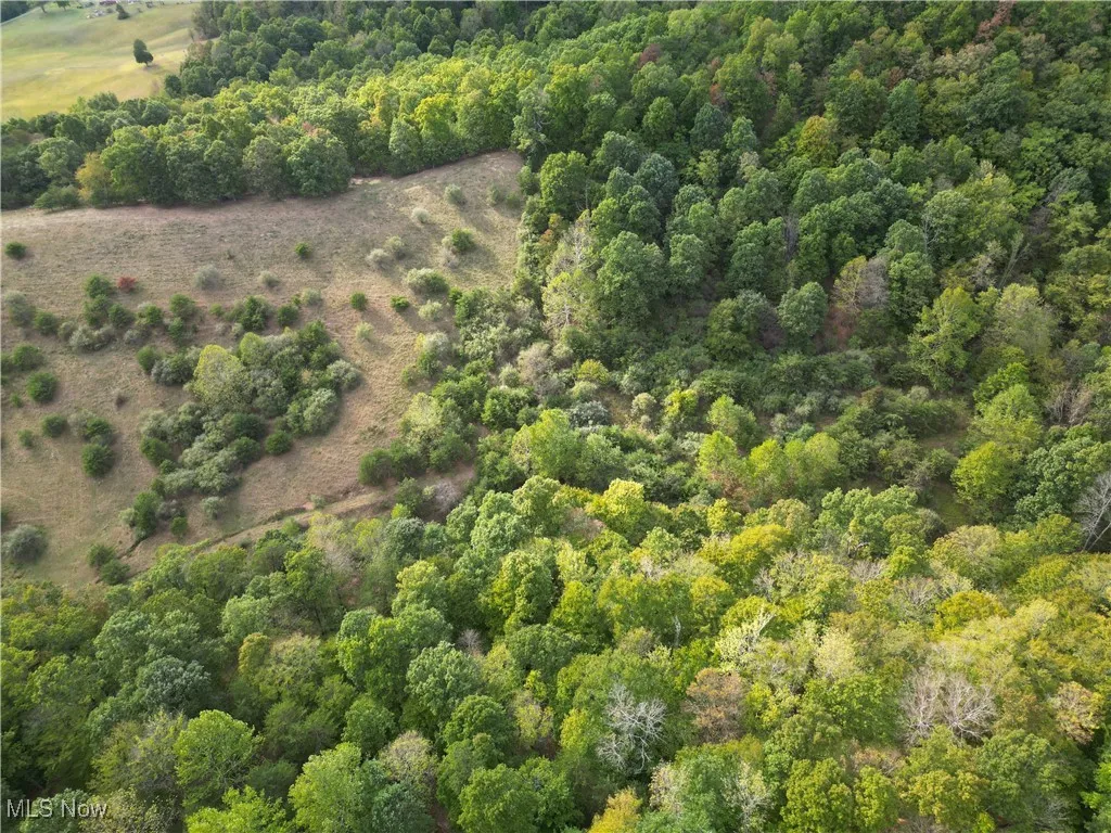 10206 Gillespie Run Road, Petroleum, West Virginia 26161,MLS Now Listing ID