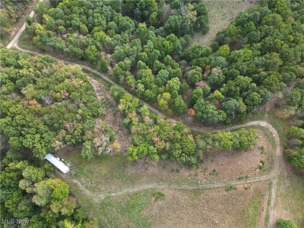 10206 Gillespie Run Road, Petroleum, West Virginia 26161,MLS Now Listing ID
