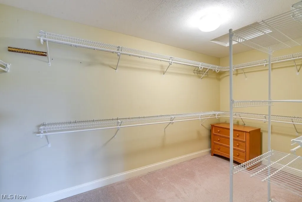 Spacious closet with carpet flooring