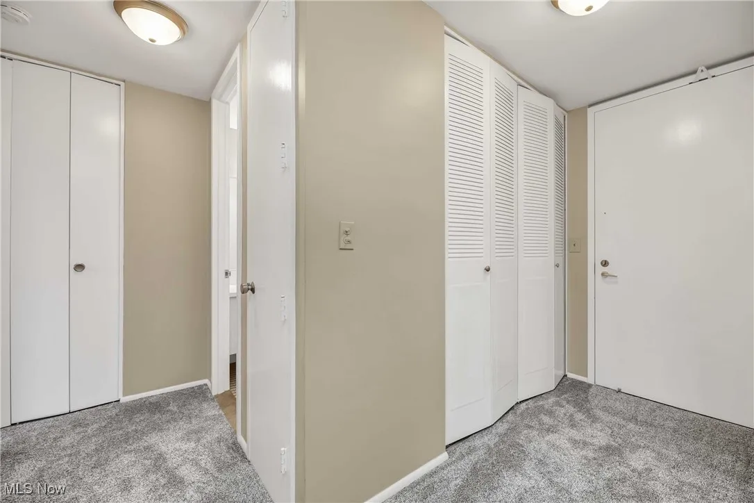 Ample guest closet in entry