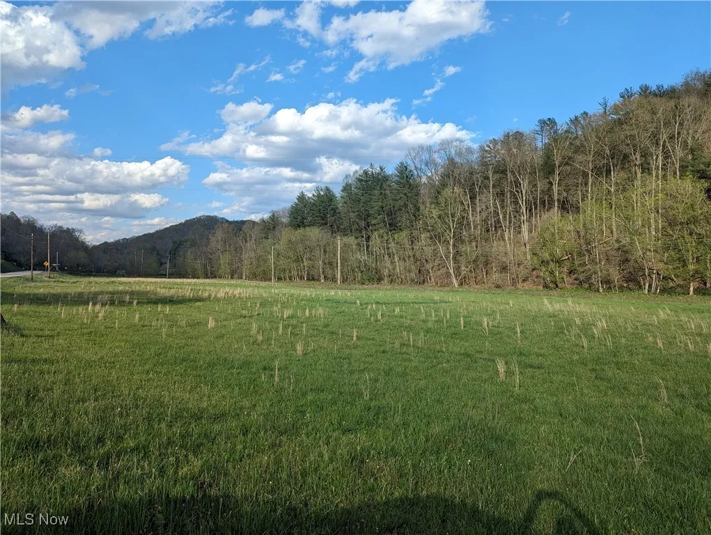 1989 Charleston Road, Spencer, West Virginia,MLS Now Listing ID