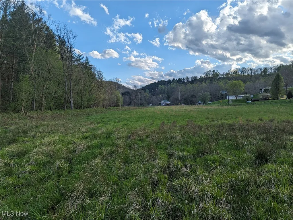 1989 Charleston Road, Spencer, West Virginia,MLS Now Listing ID