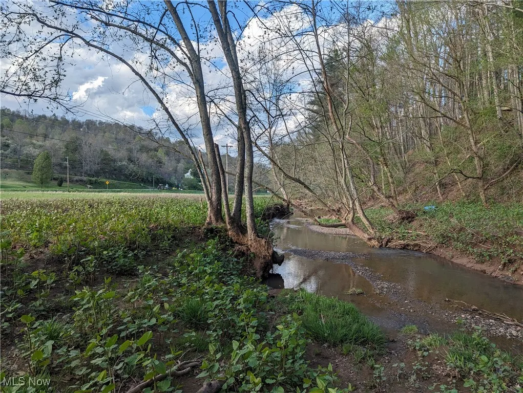1989 Charleston Road, Spencer, West Virginia,MLS Now Listing ID