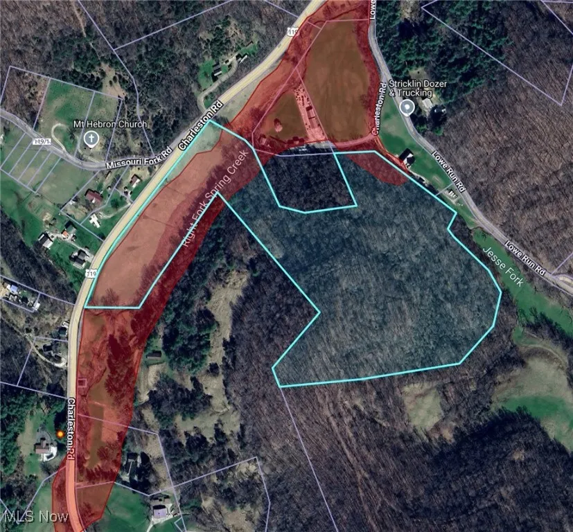 1989 Charleston Road, Spencer, West Virginia,MLS Now Listing ID