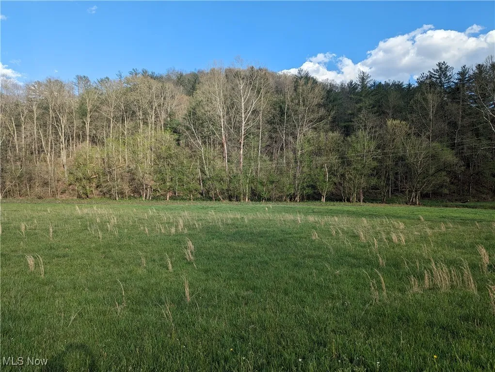 1989 Charleston Road, Spencer, West Virginia,MLS Now Listing ID