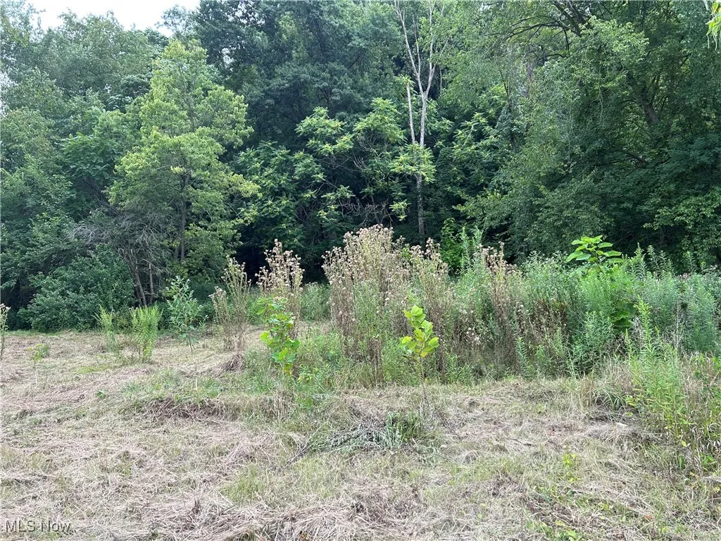 5 parcels (.53 acres)