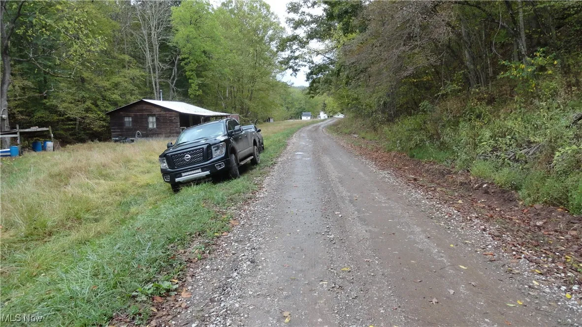 956 Hog Run Road, New Martinsville, West Virginia,MLS Now Listing ID