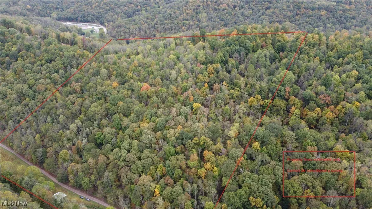 956 Hog Run Road, New Martinsville, West Virginia,MLS Now Listing ID