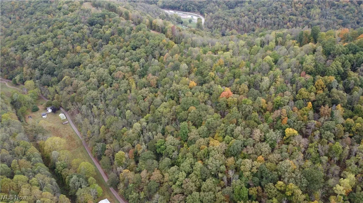 956 Hog Run Road, New Martinsville, West Virginia,MLS Now Listing ID