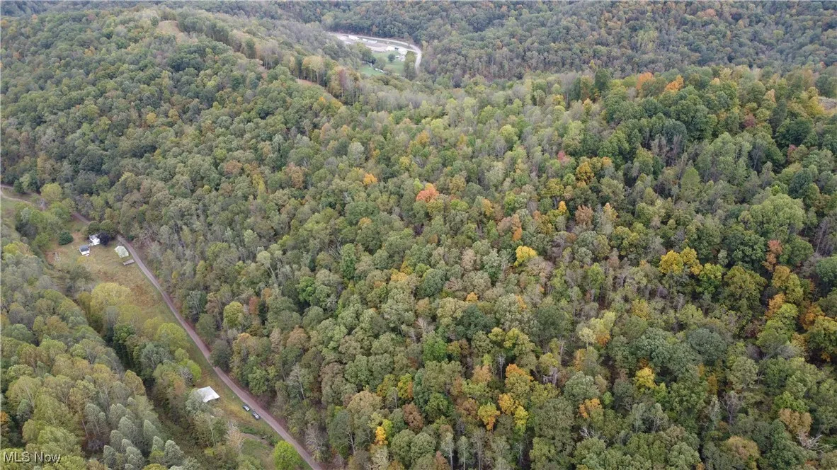 956 Hog Run Road, New Martinsville, West Virginia,MLS Now Listing ID