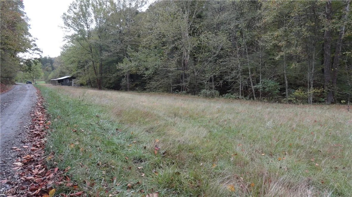 956 Hog Run Road, New Martinsville, West Virginia,MLS Now Listing ID