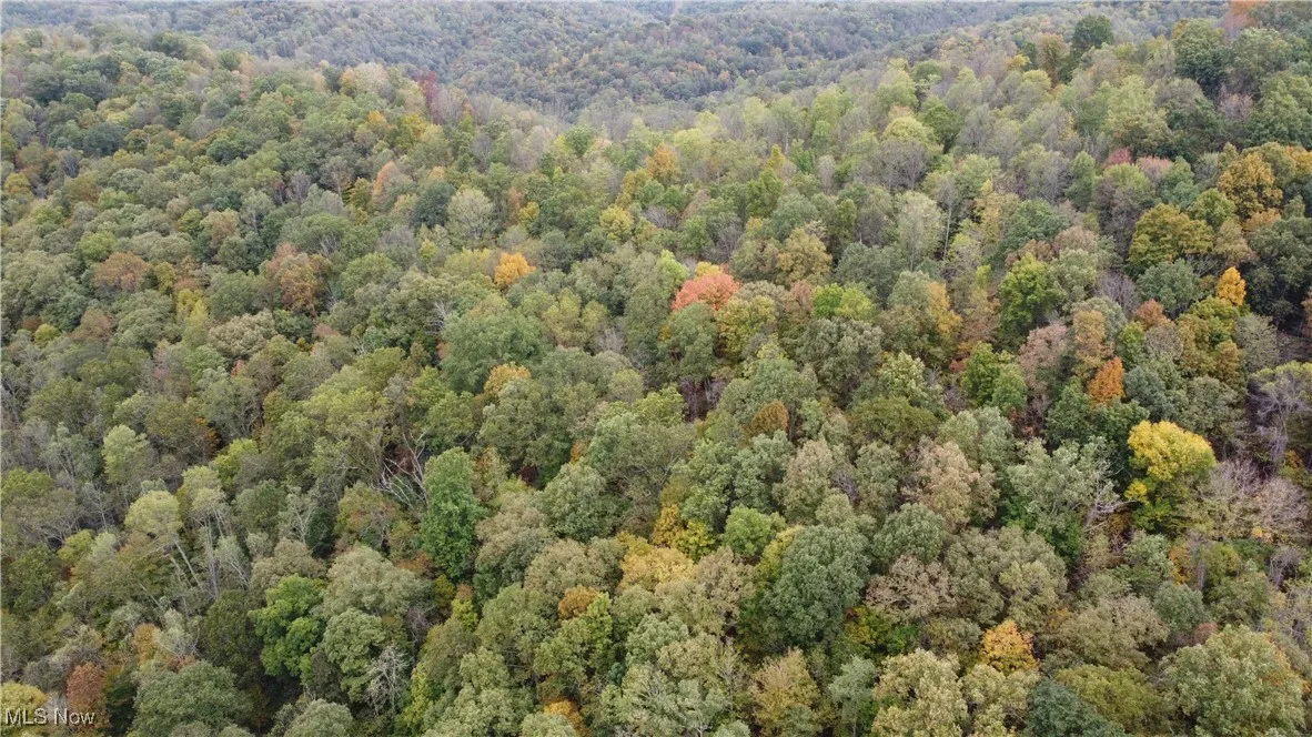 956 Hog Run Road, New Martinsville, West Virginia,MLS Now Listing ID