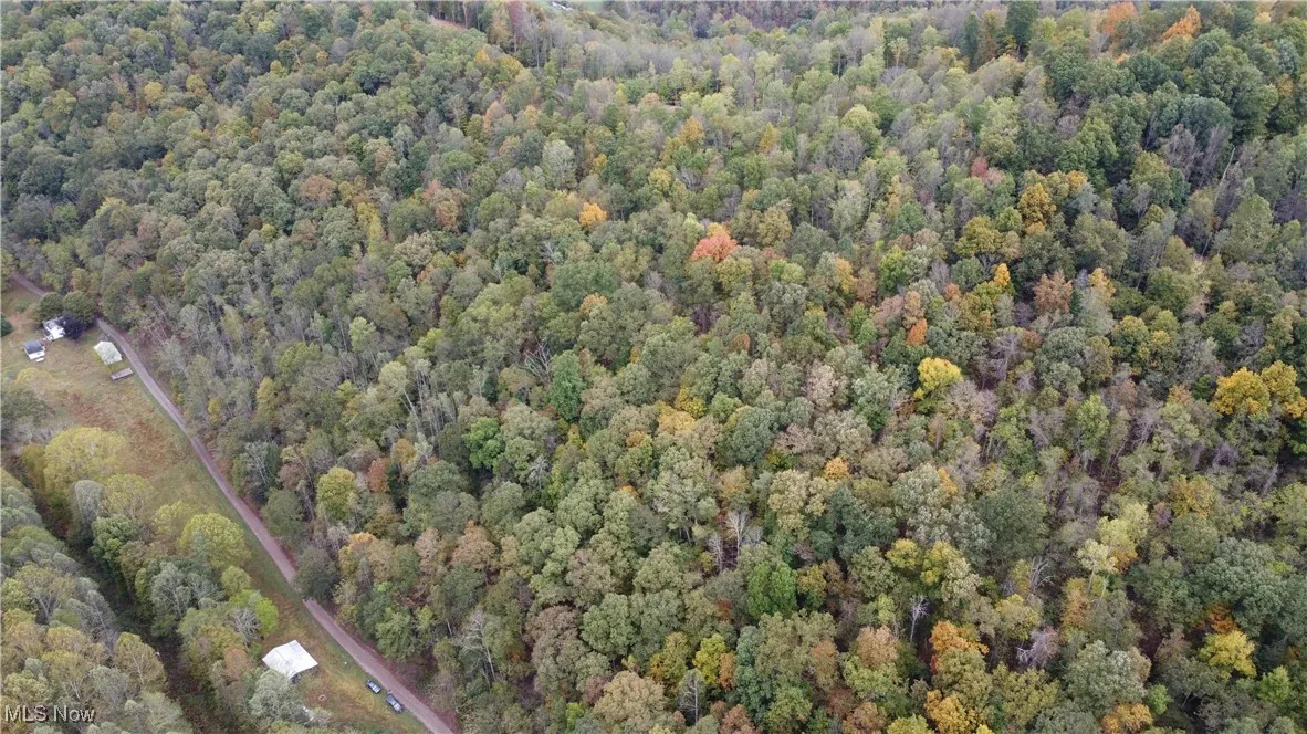 956 Hog Run Road, New Martinsville, West Virginia,MLS Now Listing ID