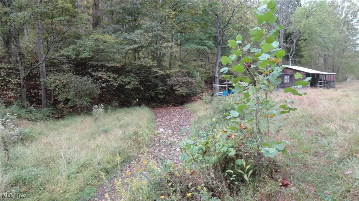 956 Hog Run Road, New Martinsville, West Virginia,MLS Now Listing ID