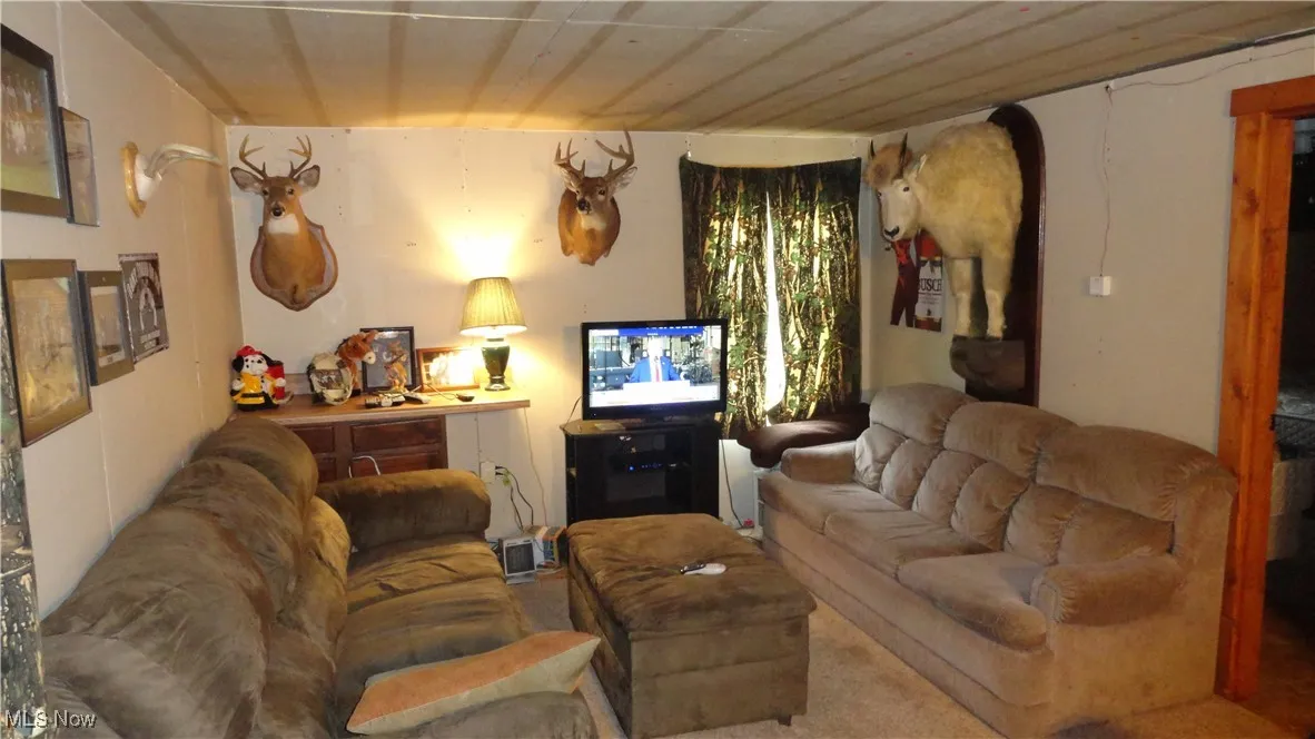 956 Hog Run Road, New Martinsville, West Virginia,MLS Now Listing ID
