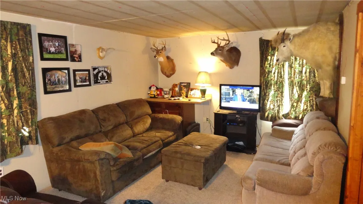 956 Hog Run Road, New Martinsville, West Virginia,MLS Now Listing ID
