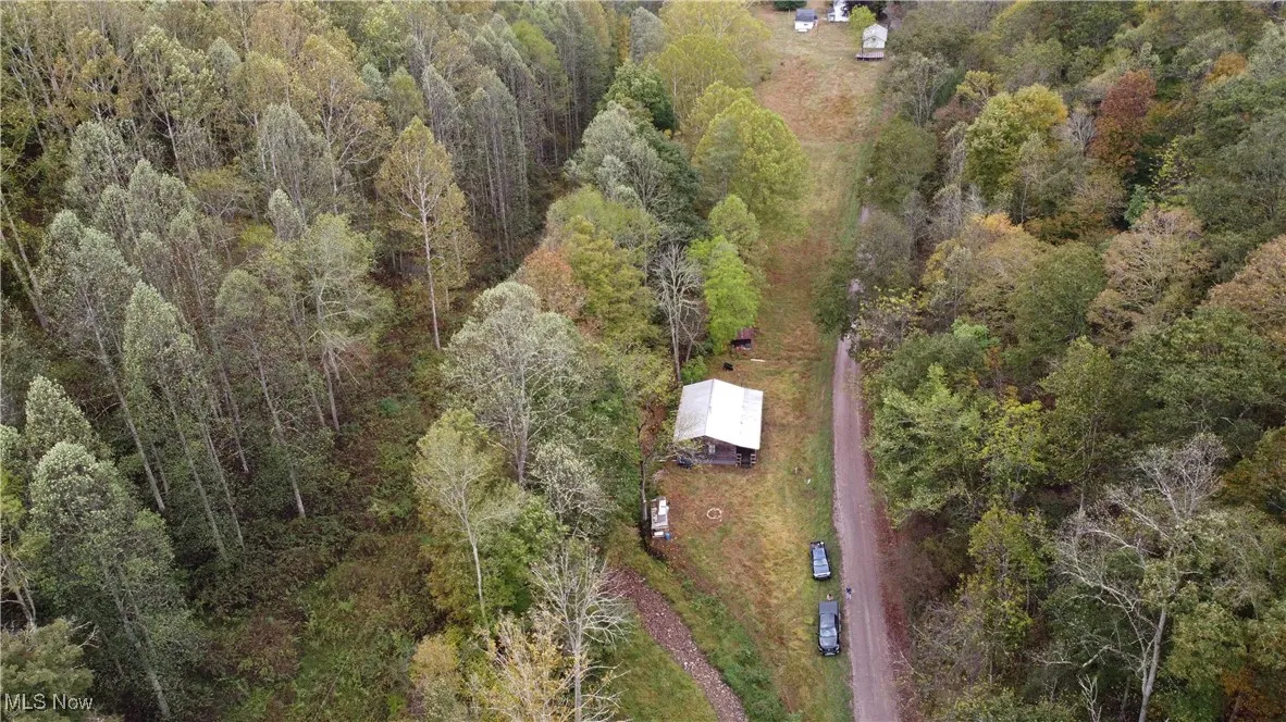 956 Hog Run Road, New Martinsville, West Virginia,MLS Now Listing ID