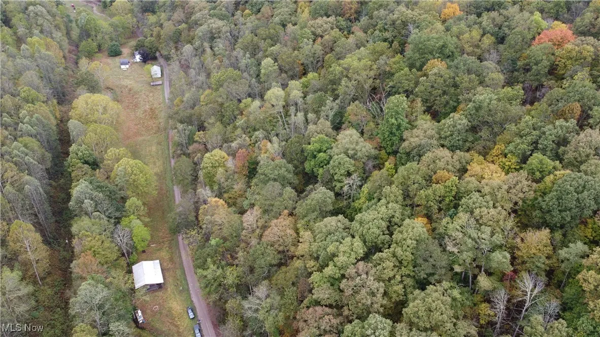 956 Hog Run Road, New Martinsville, West Virginia,MLS Now Listing ID