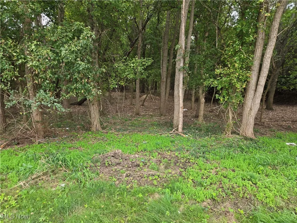 Interior of wooded frontage