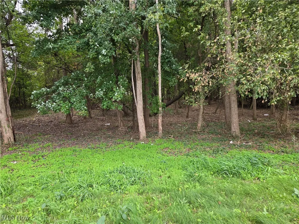 Interior of wooded frontage