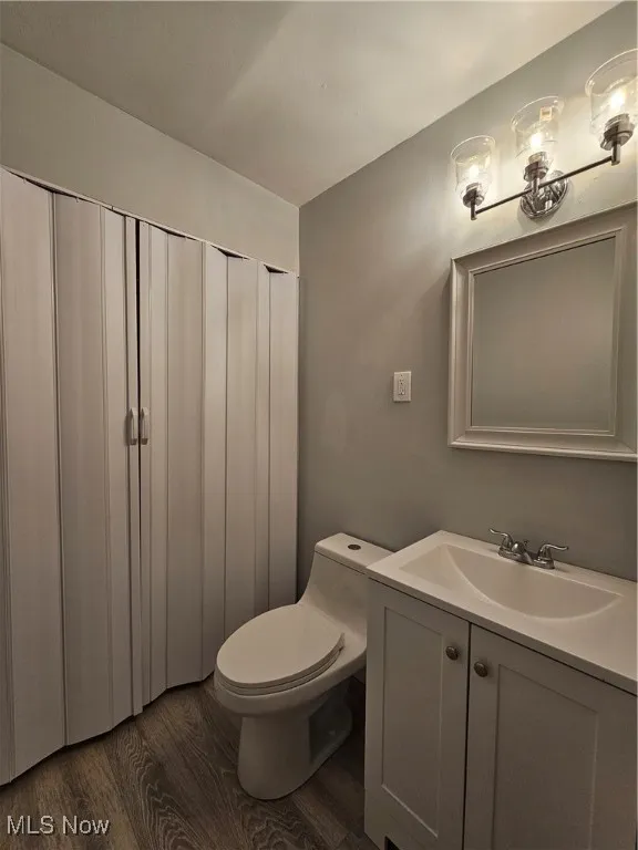 Bathroom featuring wood-type flooring, vanity, and toilet