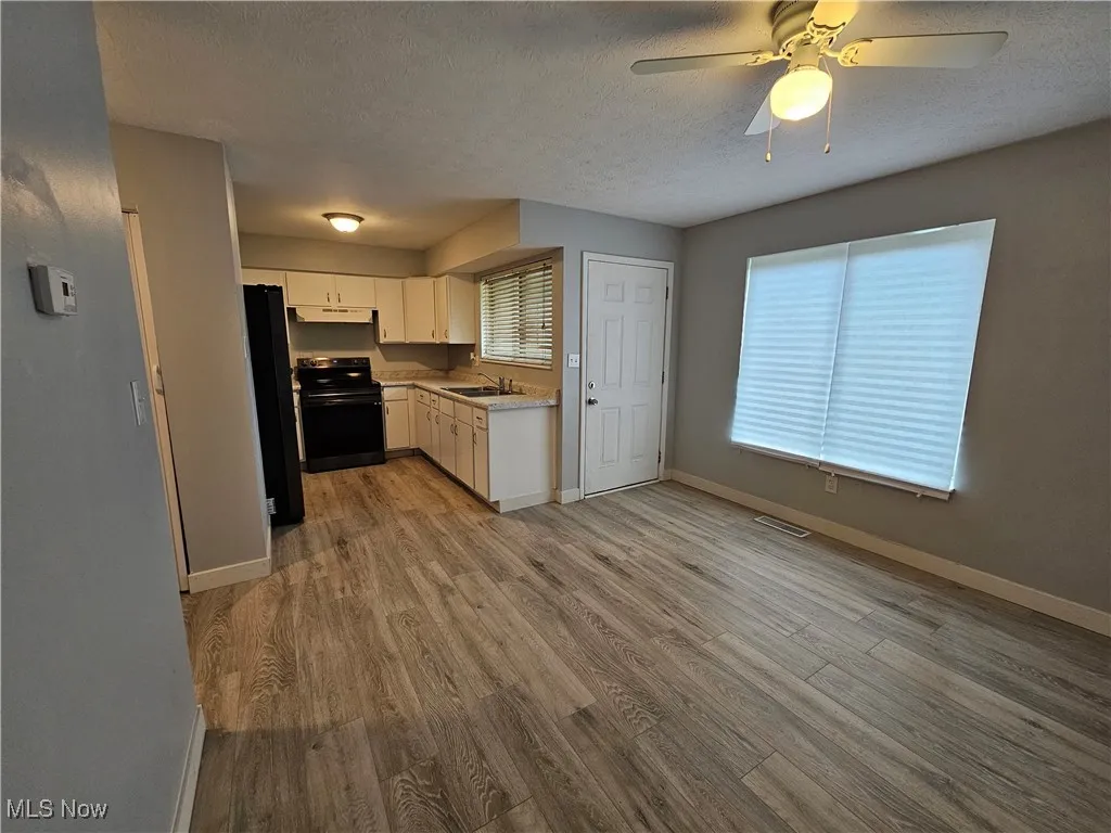 Kitchen with white cabinetry, black appliances, light hardwood / wood-style flooring, a healthy amount of sunlight, and sink