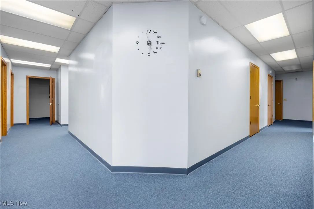 Corridor featuring carpet floors and a drop ceiling