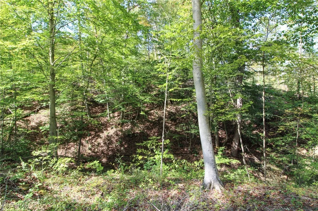 View of landscape