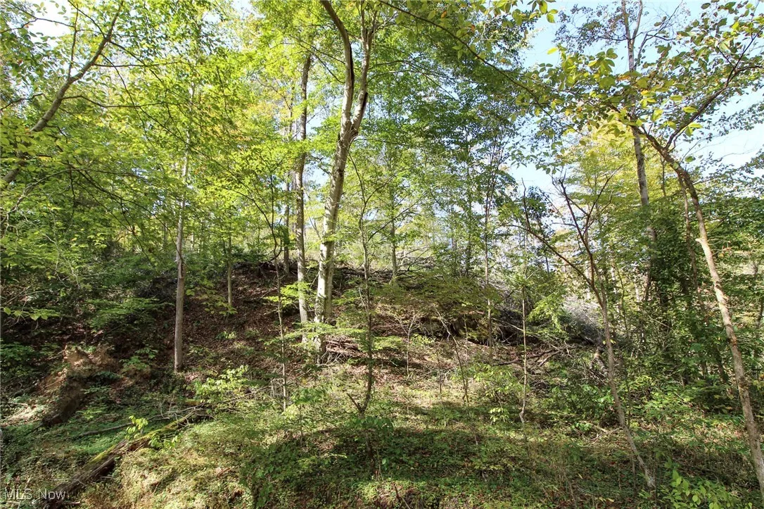 View of landscape