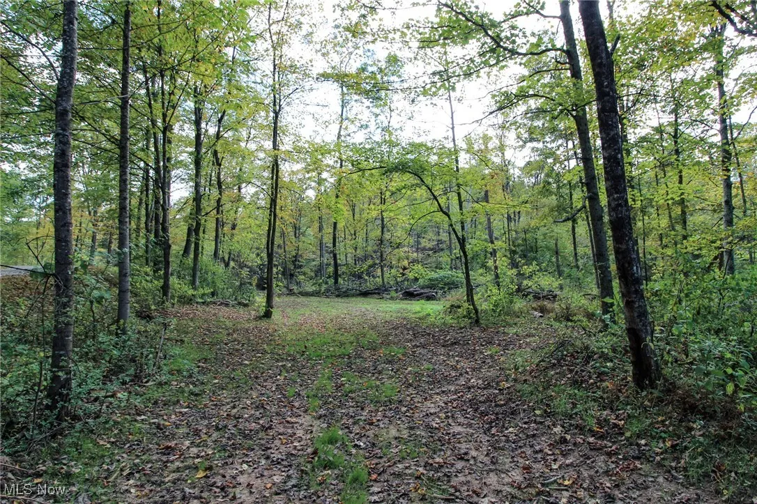 View of landscape
