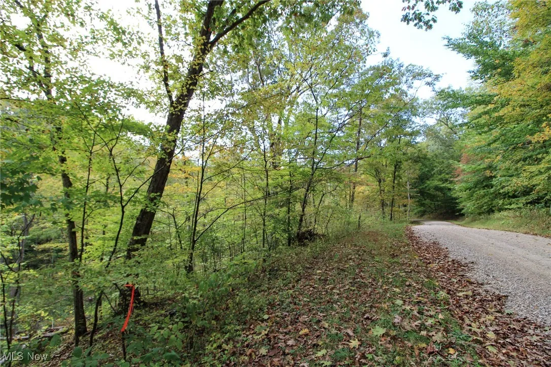 View of road
