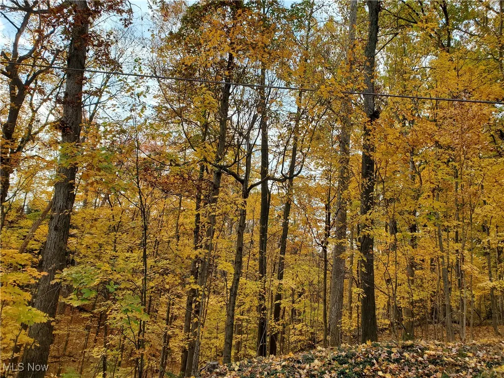 Wooded, Ravined Lot with deer meadows