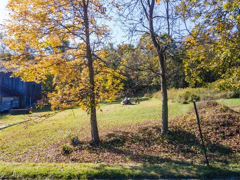 Bacon Avenue, East Palestine, Ohio,MLS Now Listing ID