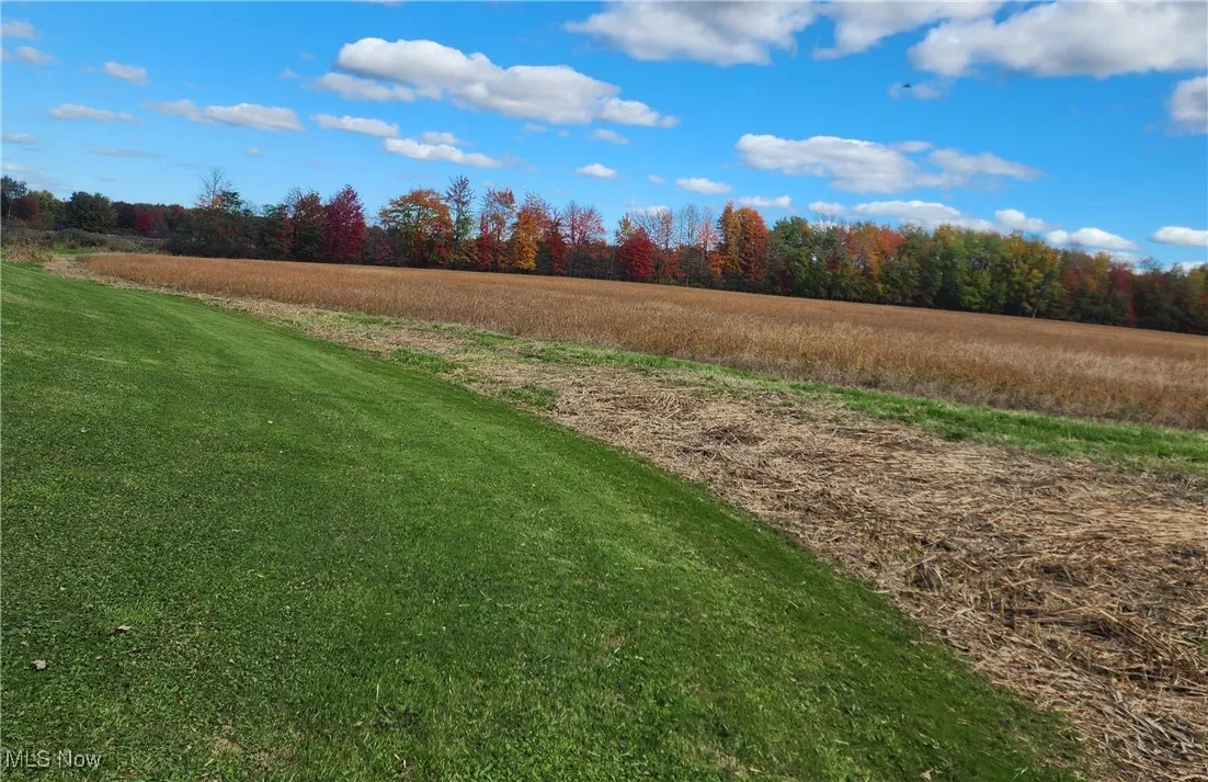 View soybean field with wooded parcels in back