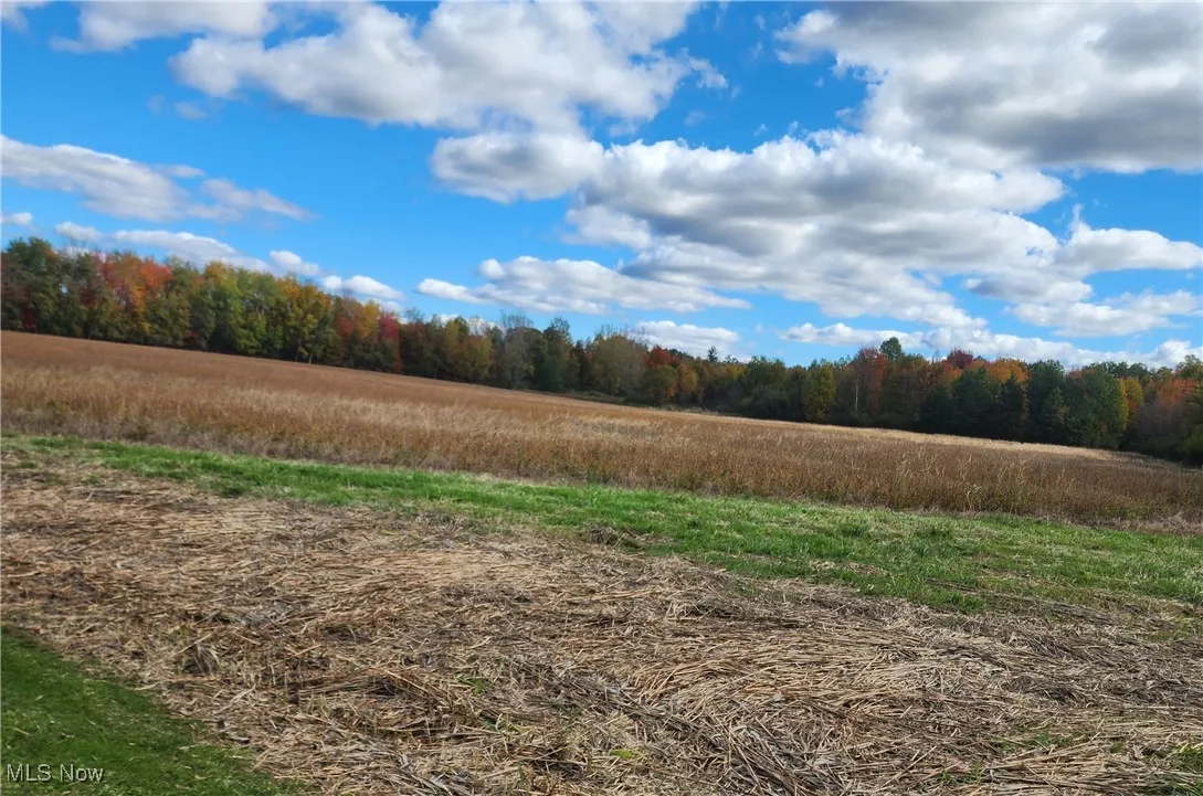 View of landscape featuring soybean field view