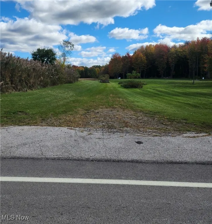 View from street looking at 28ft wide drive to property