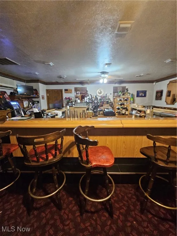 Bar featuring crown molding, a textured ceiling, butcher block counters, and ceiling fan