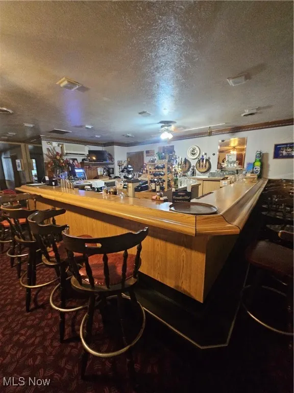 Bar featuring ornamental molding, a textured ceiling, carpet flooring, and ceiling fan