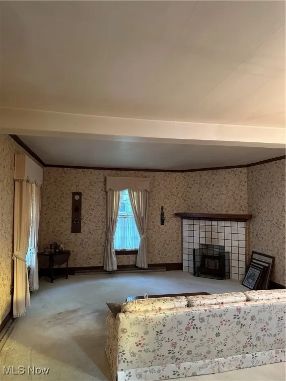  living room with light carpet