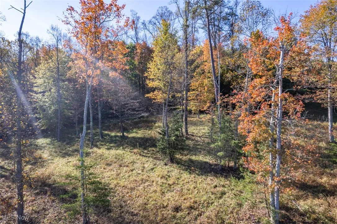 View of nature