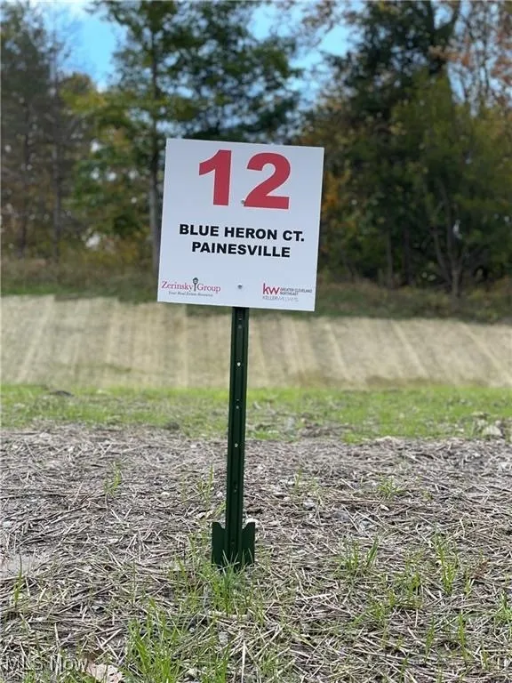 12 Blue Heron Court, Painesville, Ohio,MLS Now Listing ID