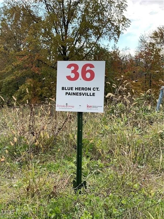 36 Blue Heron Court, Painesville, Ohio,MLS Now Listing ID