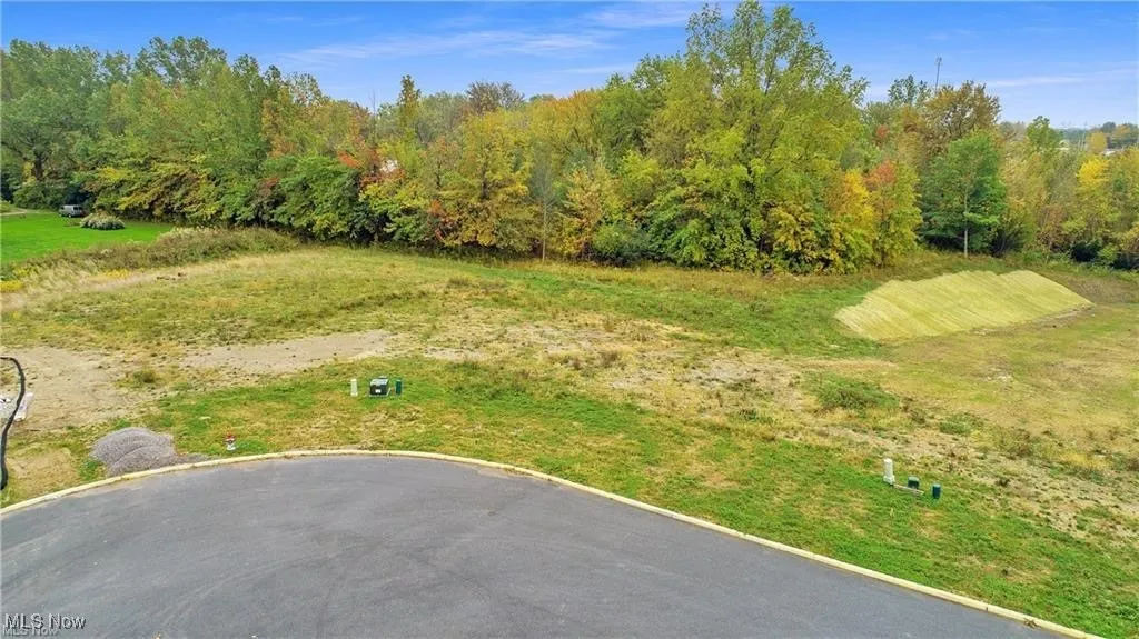 42 Blue Heron Court, Painesville, Ohio,MLS Now Listing ID