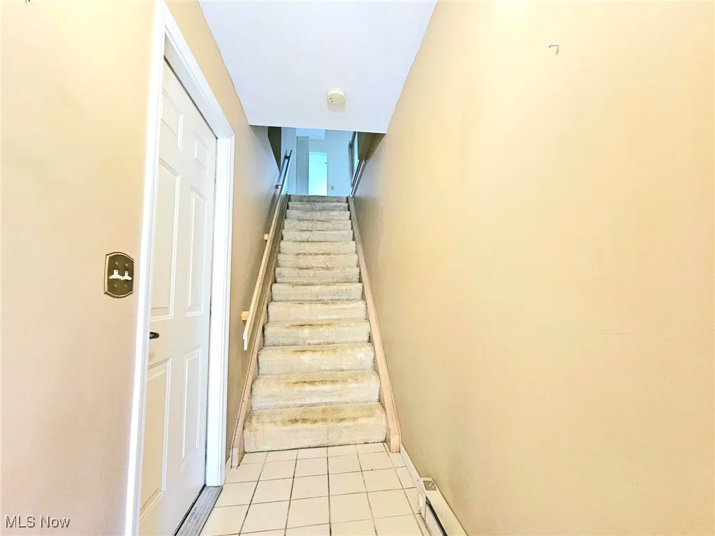 Interior steps