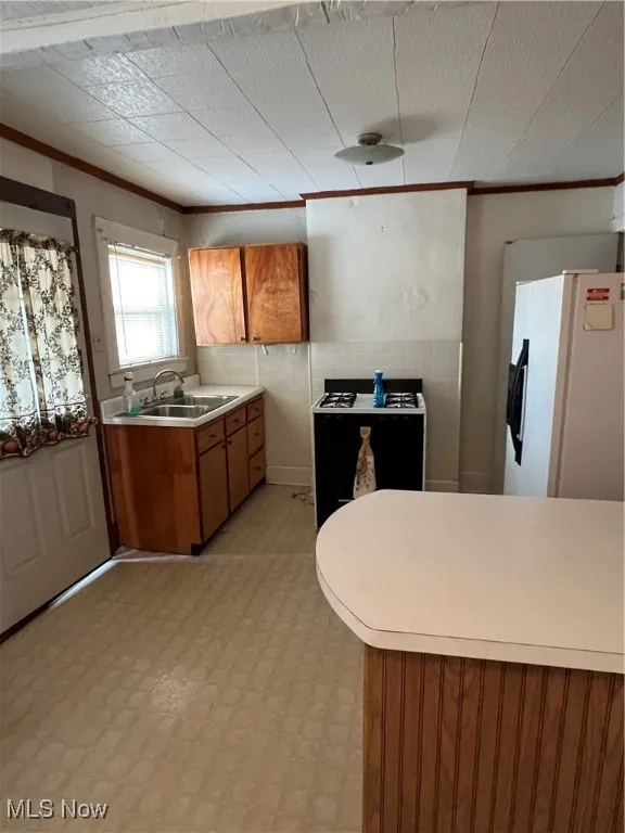 Kitchen with sink, refrigerator, and crown molding